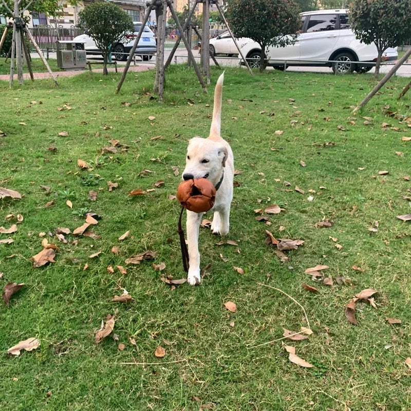 Leather Dog Training Ball – Tug, Bite & Fetch Toy with Handle for Puppies & Dogs