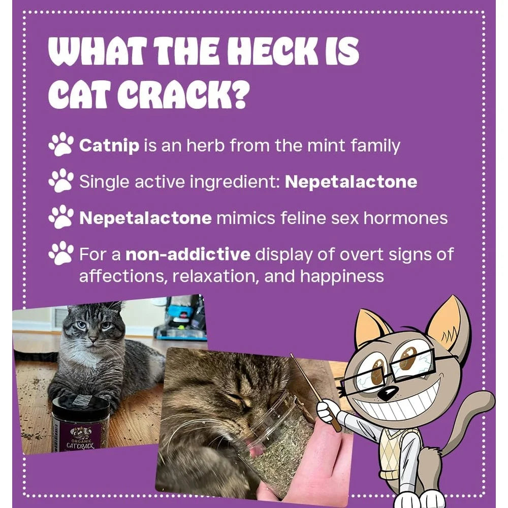 100% Natural Catnip Blend – Non-GMO North American Cat Treats for Zoomies, Safe & Non-Addictive Feline Fun