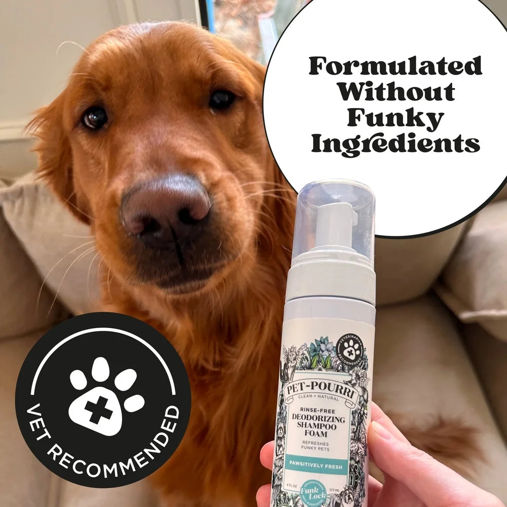 Waterless Pet Shampoo Foam – No-Rinse Deodorizing Cleanser for Dogs & Cats, Paw Cleaner, Fresh Scent, Easy Grooming & Travel