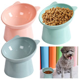 Tilted Elevated Cat Food Bowl – Ergonomic Raised Anti-Vomiting Feeder for Flat-Faced Cats & Small Dogs