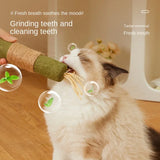 Cat Toys Silvervine Chew Sticks – Natural Catnip Pet Snacks for Kittens & Cats, Dental Cleaning & Play Accessories
