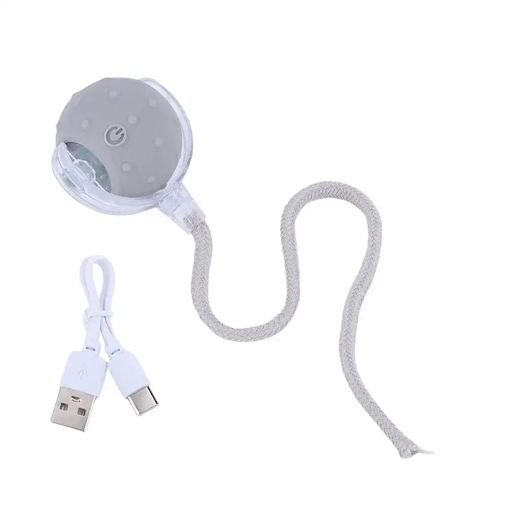 Interactive Rolling Ball Toy for Cats & Small Dogs – USB Rechargeable Smart Pet Wheel with Faux Tail