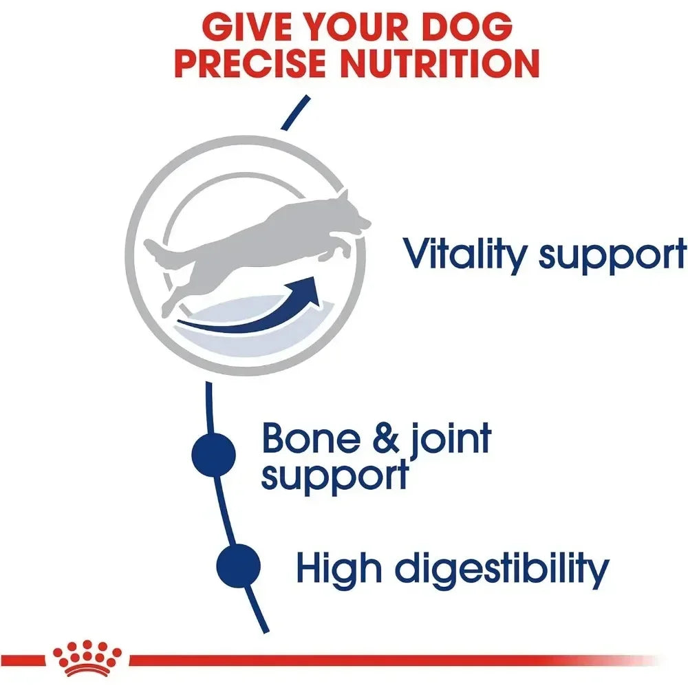 Large Adult 5+ Dry Dog Food – Complete Nutrition for Senior Dogs, Joint & Immune Support (30 lb Bag)