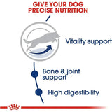 Large Adult 5+ Dry Dog Food – Complete Nutrition for Senior Dogs, Joint & Immune Support (30 lb Bag)