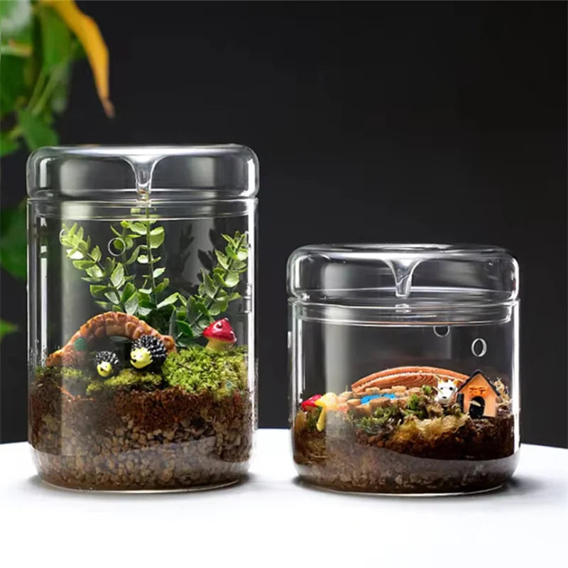 Creative Dew Collection Glass Vase – Mini Terrarium for Succulents, Moss & Micro Landscape | Decorative Glass Bottle Home Décor