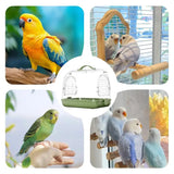 Portable Transparent Bird Carrier Backpack – Removable & Breathable Travel Cage for Cockatiel & Small Birds