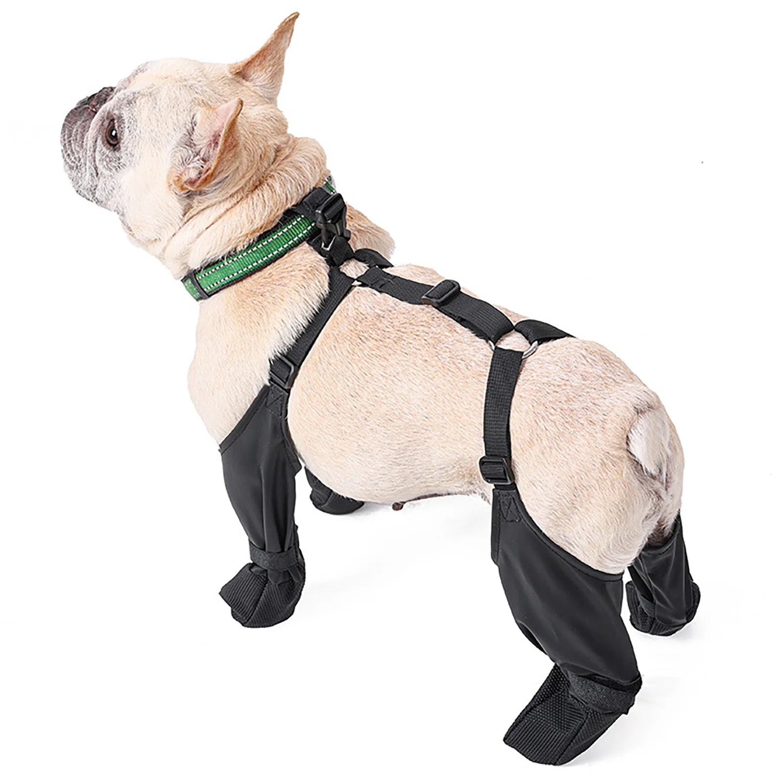 Adjustable Protective Dog Pants – All-Weather Paw Protector with Auxiliary Strap for Winter Cold