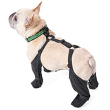 Adjustable Protective Dog Pants – All-Weather Paw Protector with Auxiliary Strap for Winter Cold