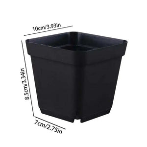 10cm