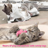 6PCS Frosted Animal Cookie Catnip Toys – Crinkle Paper Sound Plush Gift Set for Cats & Kittens, Interactive Indoor Play