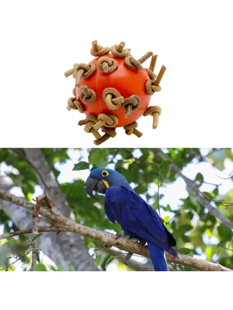 https://www.pulingo.com/products/bird-ball-chew-toy-with-knots-4cm-dia-foot-toy-suitable-for-amazon-parrot-african-grey-cockatoo-pet-supplies?utm_source=copyToPasteBoard&utm_medium=product-links&utm_content=web