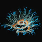 Glow-in-Dark Silicone Coral Aquarium Decor – Fluorescent Sea Anemone Simulation for Fish Tank Landscape