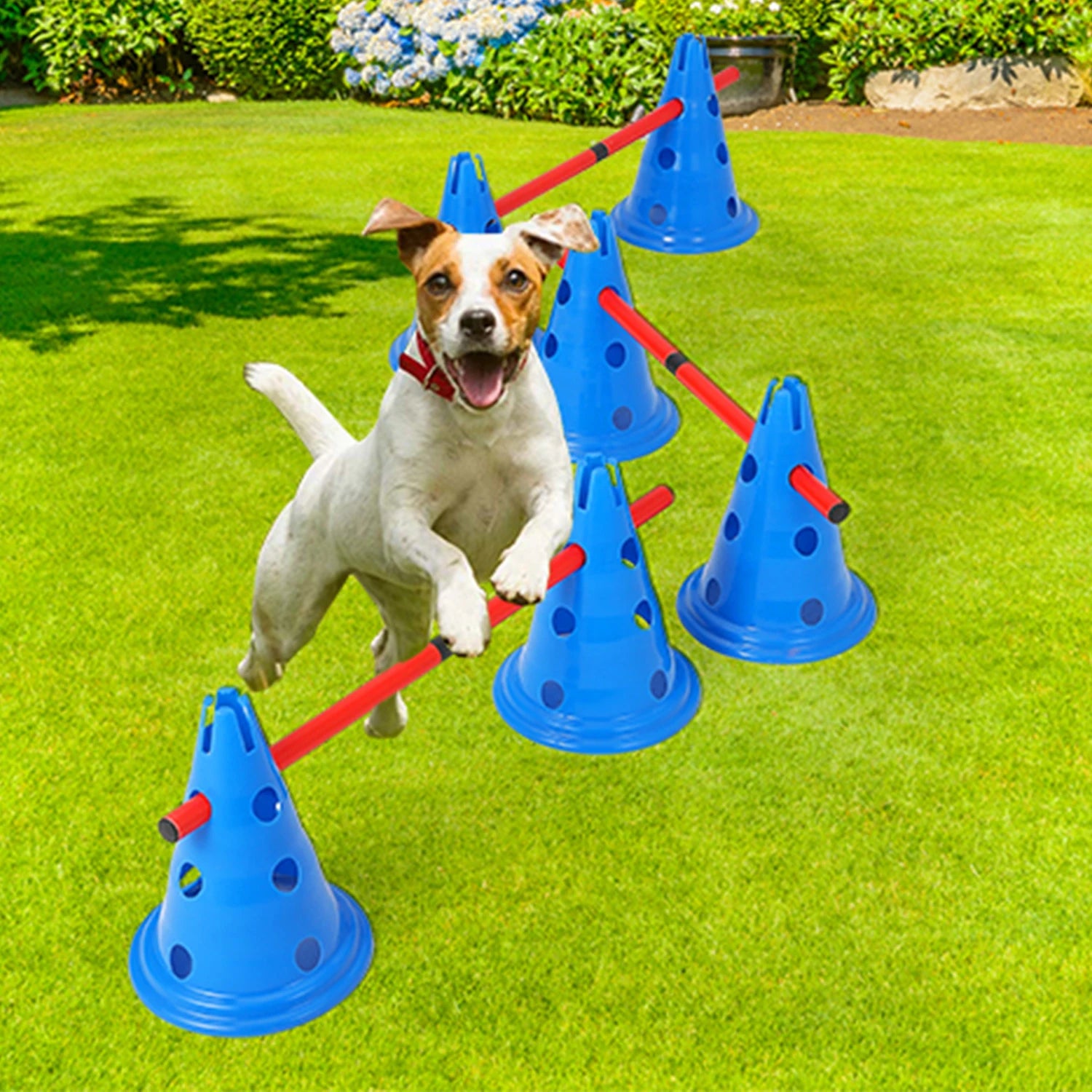 Dog Agility Hurdle Cone Set – Backyard Training Course with 12 Cones & 6 Agility Rods for Pet Exercise & Obedience