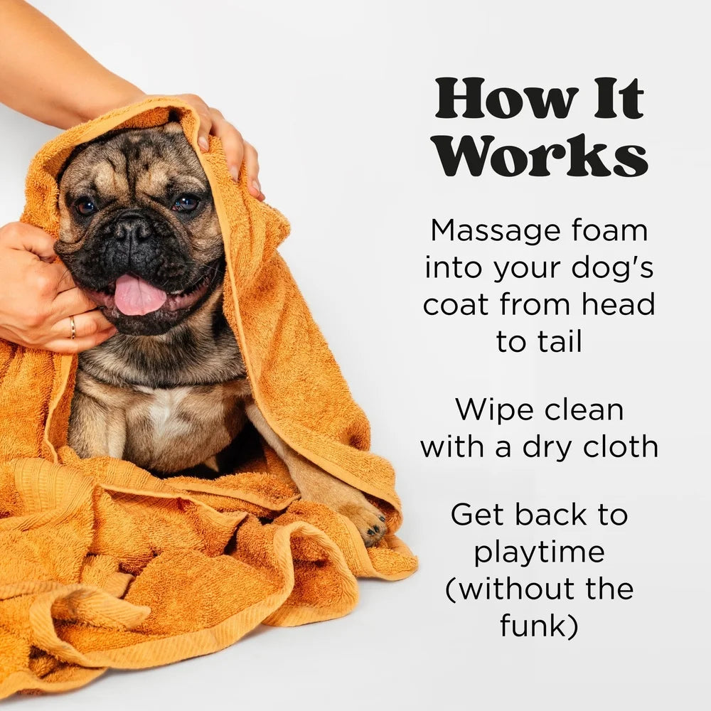 Waterless Pet Shampoo Foam – No-Rinse Deodorizing Cleanser for Dogs & Cats, Paw Cleaner, Fresh Scent, Easy Grooming & Travel