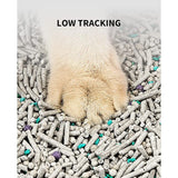 Fast Clumping Cat Litter – Natural Tofu & Activated Carbon, Flushable 5-in-1 Formula, Ultra-Absorbent, Dust-Free, 7-9lb × 2 Pack