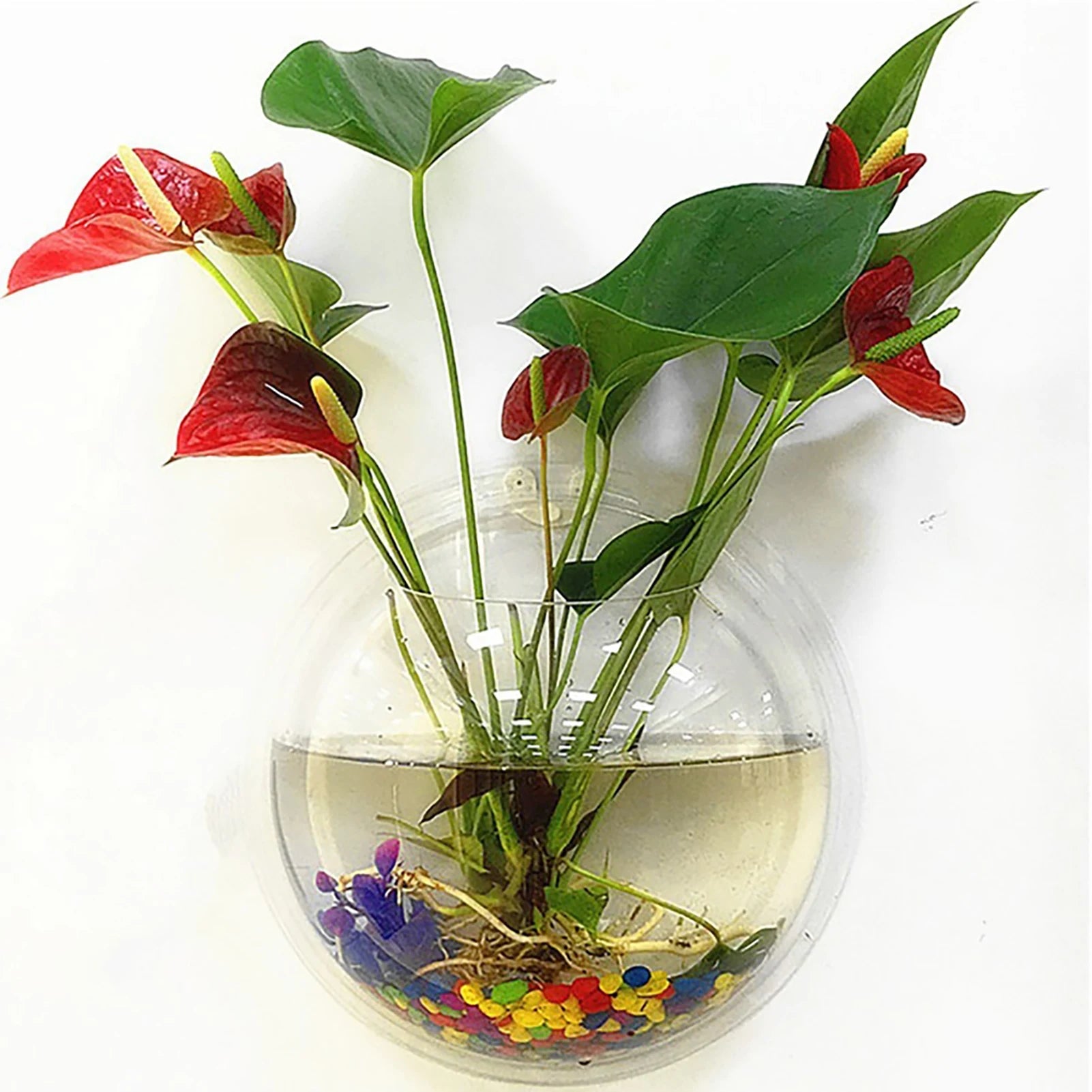 Wall-Mounted Acrylic Fish Tank Vase – Modern Transparent Flower Pot for Home & Office Wall Décor