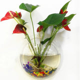 Wall-Mounted Acrylic Fish Tank Vase – Modern Transparent Flower Pot for Home & Office Wall Décor