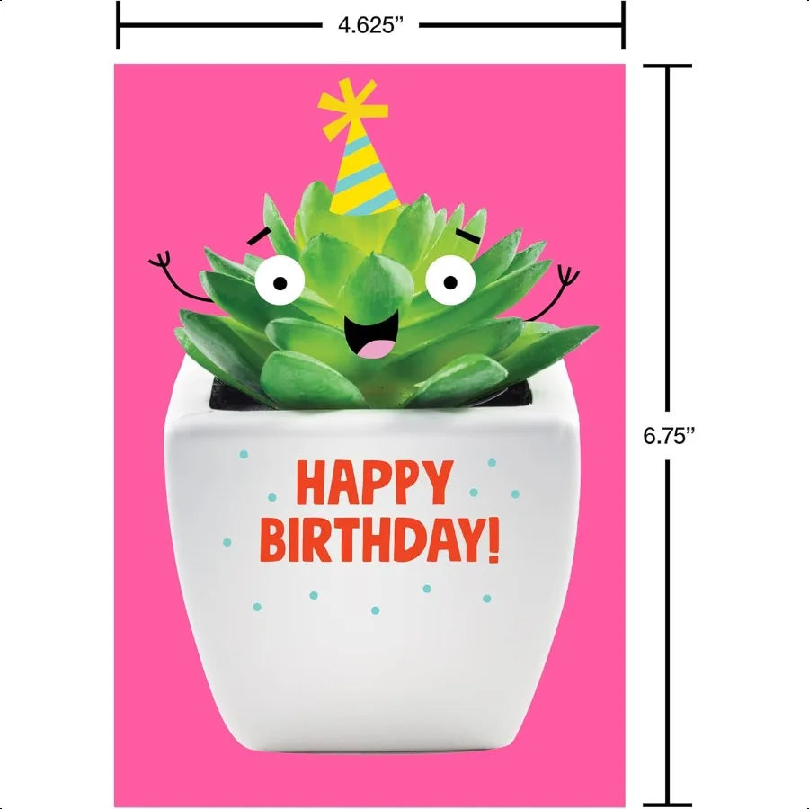 30-Count Funny Birthday Card Assortment – Recycled Paper Greeting Cards with Envelopes, Seals & Storage Box