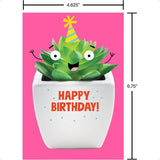 30-Count Funny Birthday Card Assortment – Recycled Paper Greeting Cards with Envelopes, Seals & Storage Box