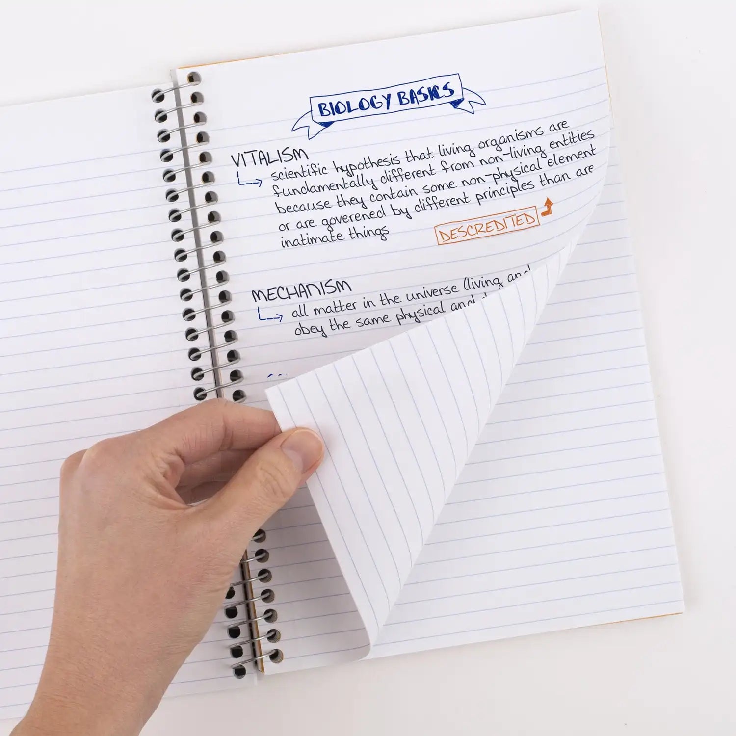 Five Star Spiral Notebooks – 3-Pack 2-Subject College-Ruled 6" x 9" Amethyst Purple Journals 📘