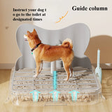 Detachable Dog Toilet with Leak-Proof Tray – Non-Slip Grille Potty Pad with Simulated Catheter for Small & Medium Dogs