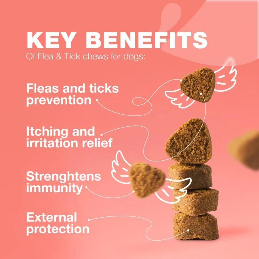 Dog Flea & Tick Treatment Chews – Natural Soft Chews for Flea & Tick Prevention, Immune Support & Year-Round Protection