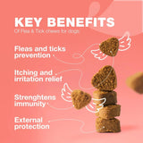 Dog Flea & Tick Treatment Chews – Natural Soft Chews for Flea & Tick Prevention, Immune Support & Year-Round Protection