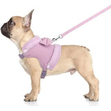 Cute Small Dog Harness & Leash Set with Bow Tie – Soft Padded Adjustable Pet Vest for Indoor & Outdoor Walking