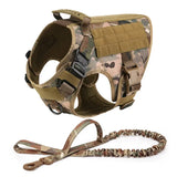 Large Dog Harness & Leash Set – Training & Walking Vest with Collar for German Shepherd, Malinois & Medium/Large Dogs