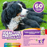 https://www.pulingo.com/products/prenatal-dog-vitamins-multivitamin-for-dogs-and-cats-with-folic-acid-minerals-and-amino-acids-ideal-for-pregnant-breast-feeding?utm_source=copyToPasteBoard&utm_medium=product-links&utm_content=web
