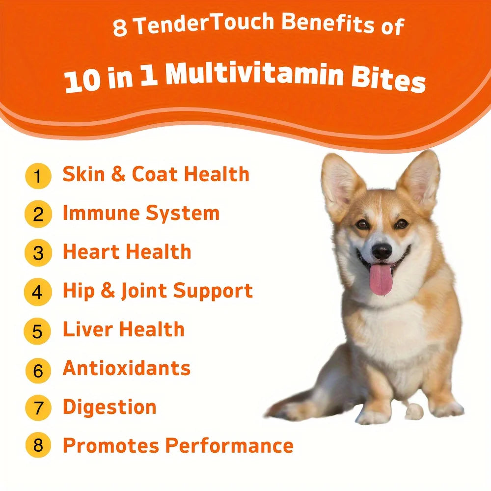 TenderTouch Multivitamin Dog Supplement – 360 Chews, Grain-Free with Digestive Enzymes & Complete Daily Nutrition (3-Pack)