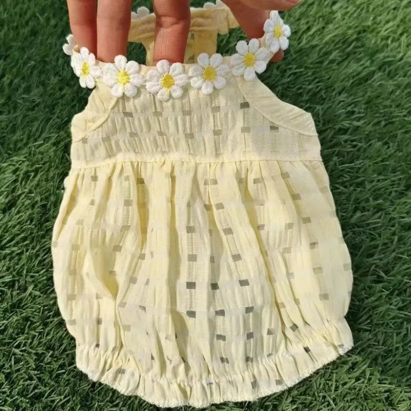 https://www.pulingo.com/products/daisy-dress-pet-clothing-dogs-thin-breathable-for-dog-clothes-costume-small-french-bulldog-soft-cute-summer-yollow-girl-mascotas?utm_source=copyToPasteBoard&utm_medium=product-links&utm_content=web