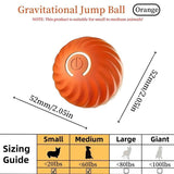 Blue & Orange Pet Bouncing Ball – Fun Interactive Toy for Cats & Dogs, Durable Rubber Ball for Playtime & Exercise