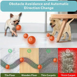 Blue & Orange Pet Bouncing Ball – Fun Interactive Toy for Cats & Dogs, Durable Rubber Ball for Playtime & Exercise