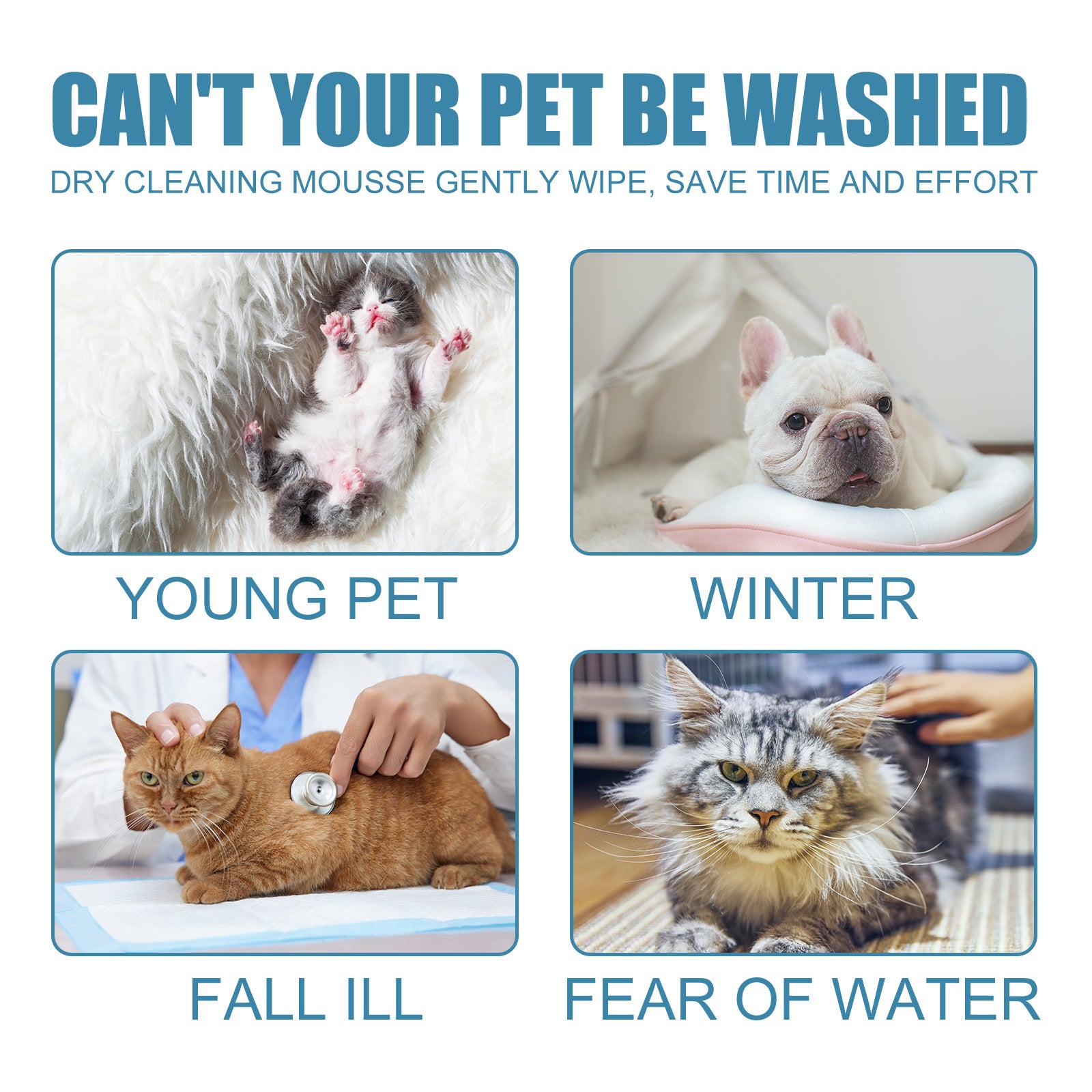 Pet Dry Foam Cleaner – No-Wash Odor Eliminator with Chamomile & Coconut Oil for Fresher, Softer Fur