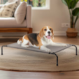 Pet Beds – Soft Plush Washable Cushion with Supportive Padding & Non-Slip Bottom for Cats, Puppies & Small Dogs