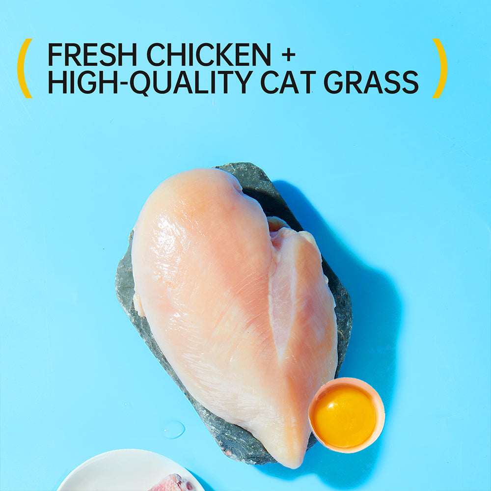 Coarse Cat Grass Stick (45g) – Natural Digestive Aid & Hairball Control Treat for Indoor Cats