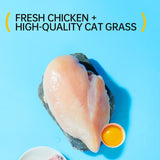 Coarse Cat Grass Stick (45g) – Natural Digestive Aid & Hairball Control Treat for Indoor Cats