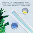 YEE Six Row Grass Light Stand – 47.8cm Blue & White LED Aquarium Plant Light, 22W US Standard for Freshwater & Saltwater Tanks
