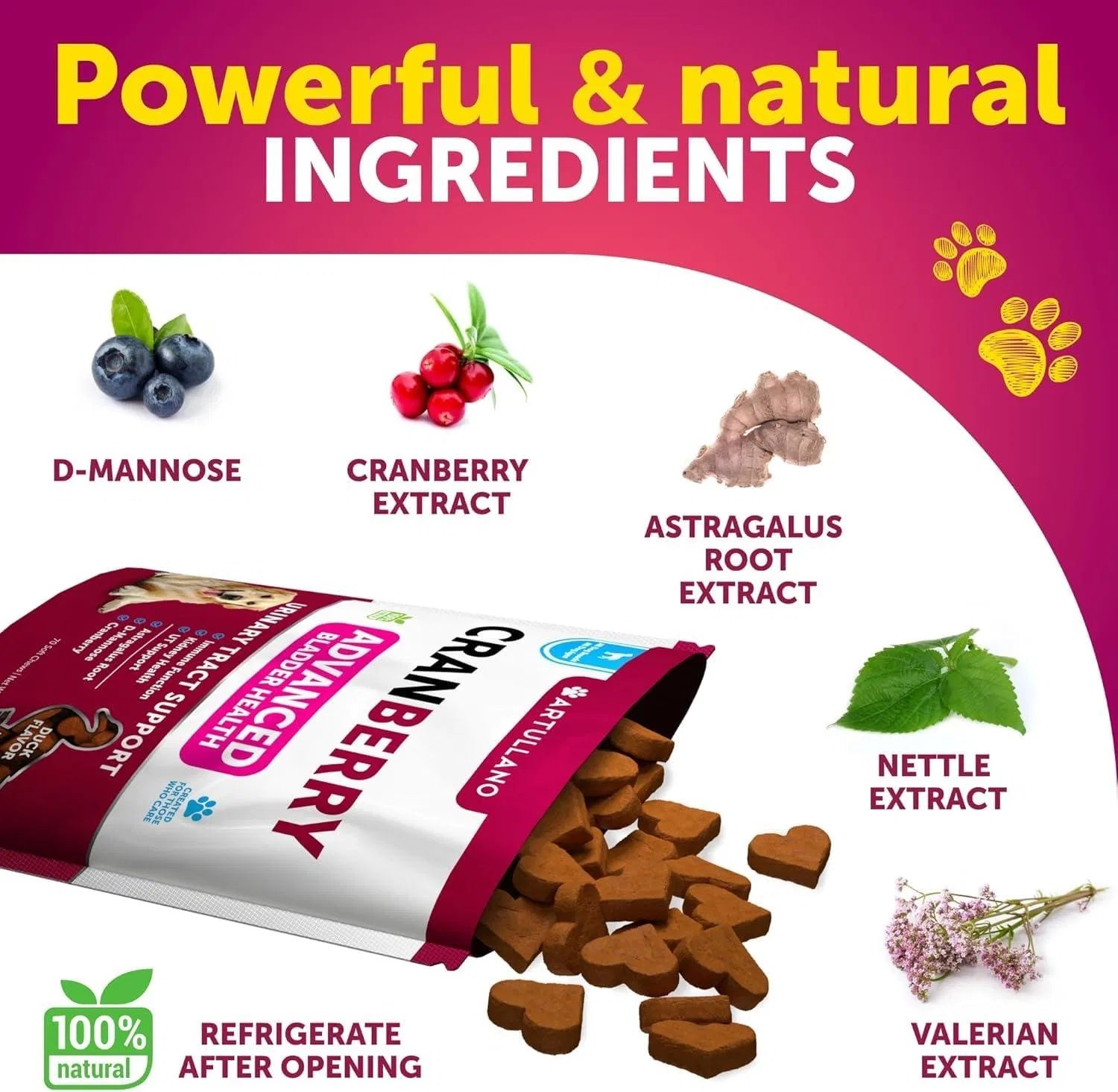 Dog UTI Treatment Cranberry Supplement – Bladder Control & Kidney Support Soft Chews with Fish Oil
