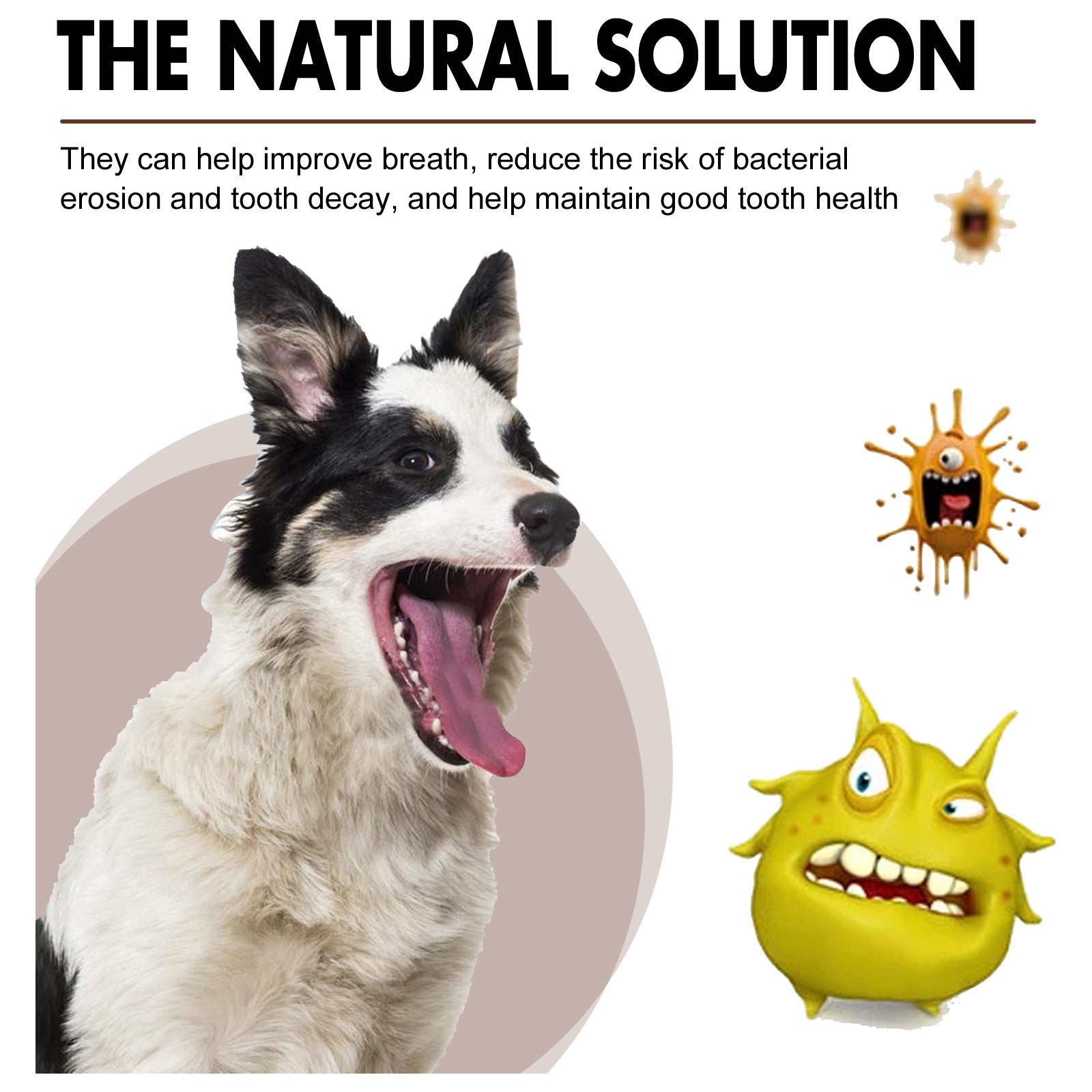 Pet Tooth Cleaning Spray – Oral Care Fresh Breath Spray for Dogs & Cats, Reduces Plaque & Tartar Buildup