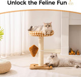 Mewoo Cat Scratching Post with Bed – Small Cat Tower with Sisal Scratcher, Removable Perch & Ball Track Toys