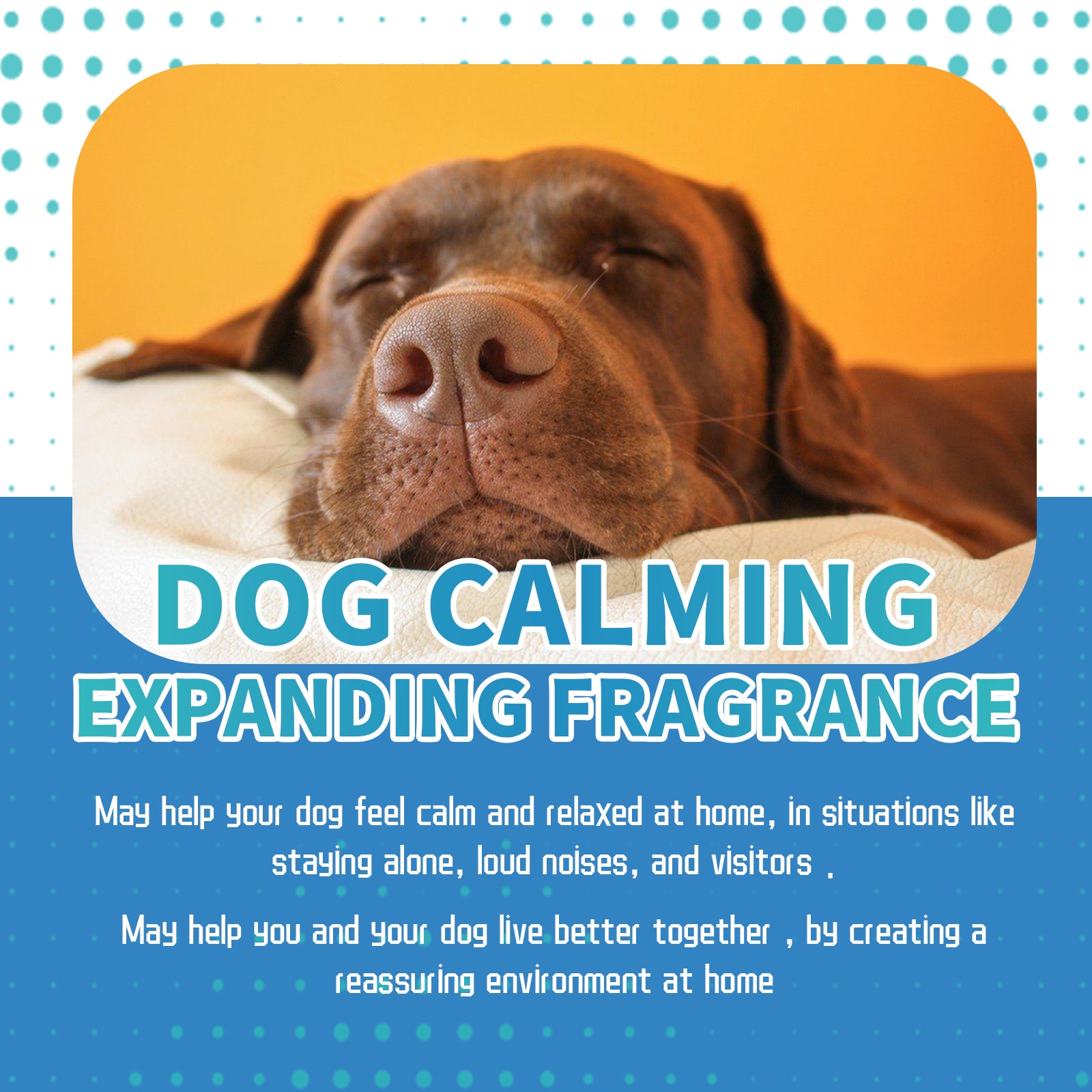 Pet Calming Solution – Natural Stress & Anxiety Relief Drops for Cats & Dogs