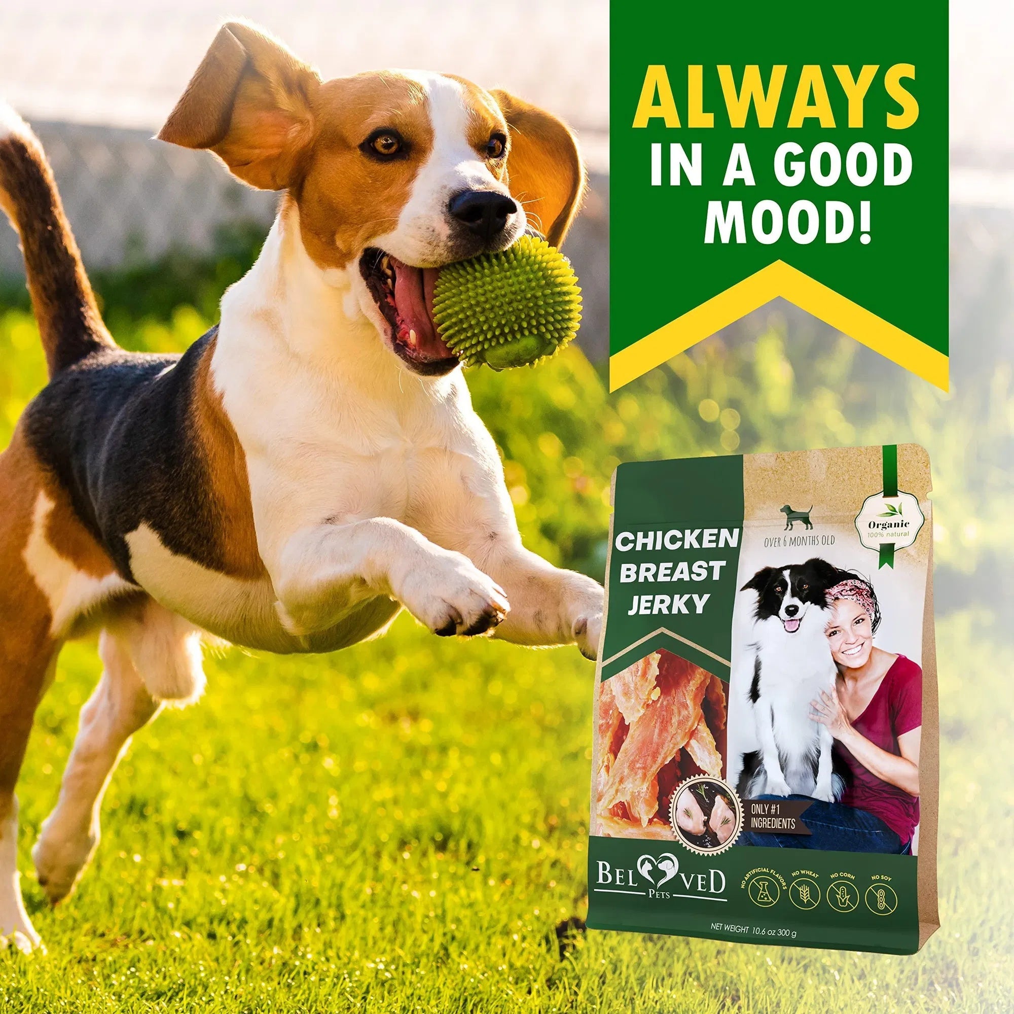 Chicken Jerky Dog Treats – All-Natural Grain-Free Organic High-Protein Human-Grade Chews (300g)