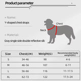 Pet Dog & Cat Harness with Leash Set – Adjustable Reflective Training Harness, No-Pull & No-Choke Design with Leather Leash