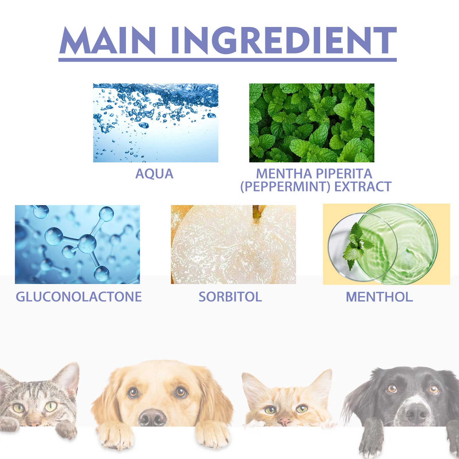 Pet Oral Care Spray – Stain Removal, Tartar Control & Breath Freshening Mist for Cats & Dogs