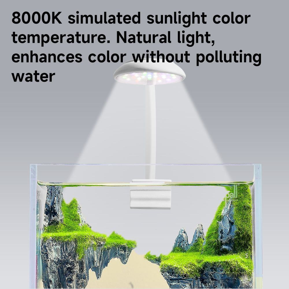 https://www.pulingo.com/products/round-head-small-clip-light-three-colors-3-5w-white?utm_source=copyToPasteBoard&utm_medium=product-links&utm_content=web
