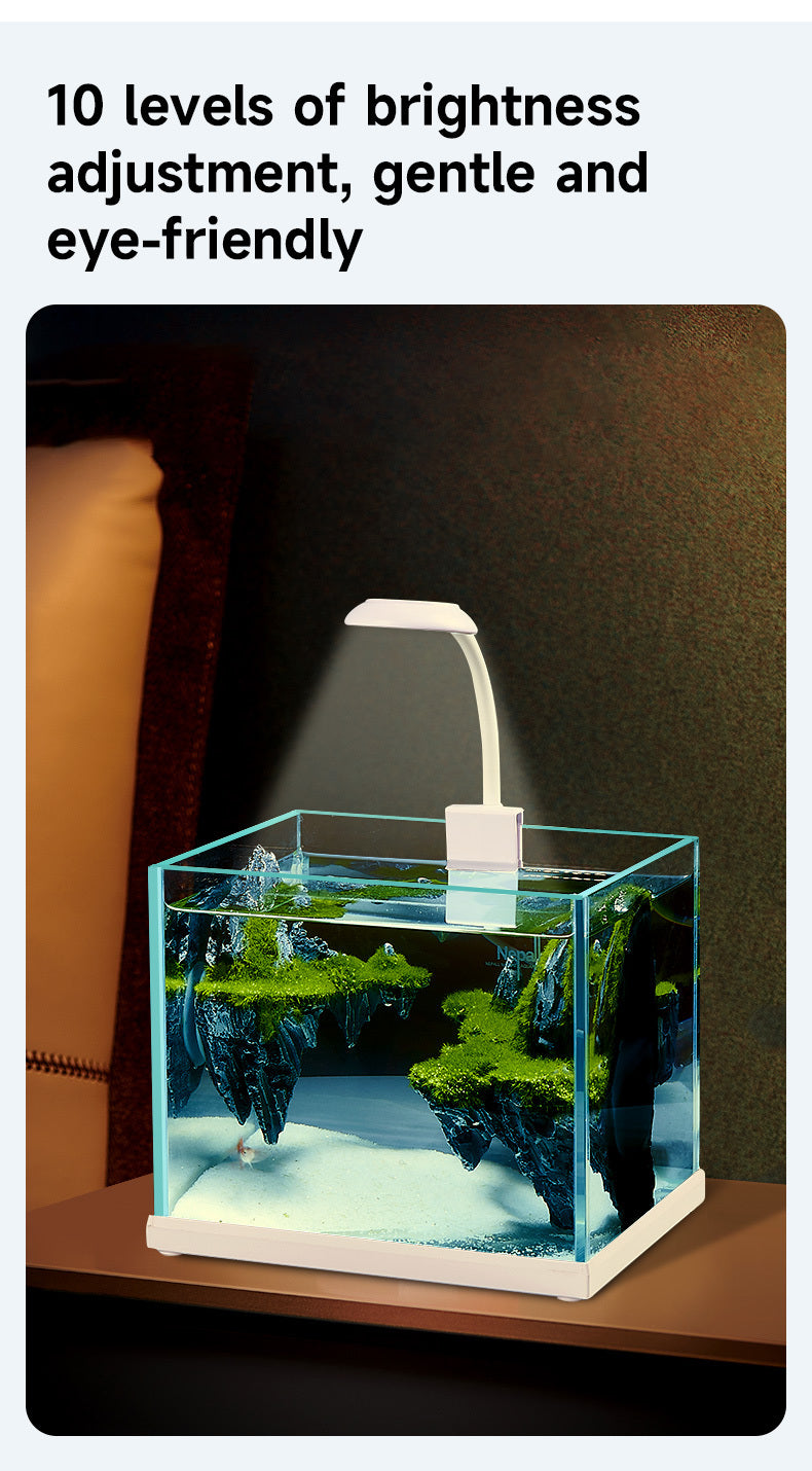 https://www.pulingo.com/products/round-head-small-clip-light-three-colors-3-5w-white?utm_source=copyToPasteBoard&utm_medium=product-links&utm_content=web