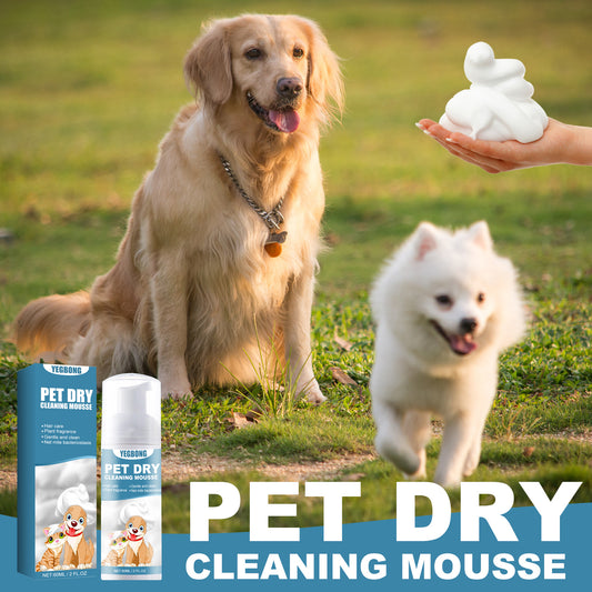Pet Dry Foam Cleaner – No-Wash Odor Eliminator with Chamomile & Coconut Oil for Fresher, Softer Fur