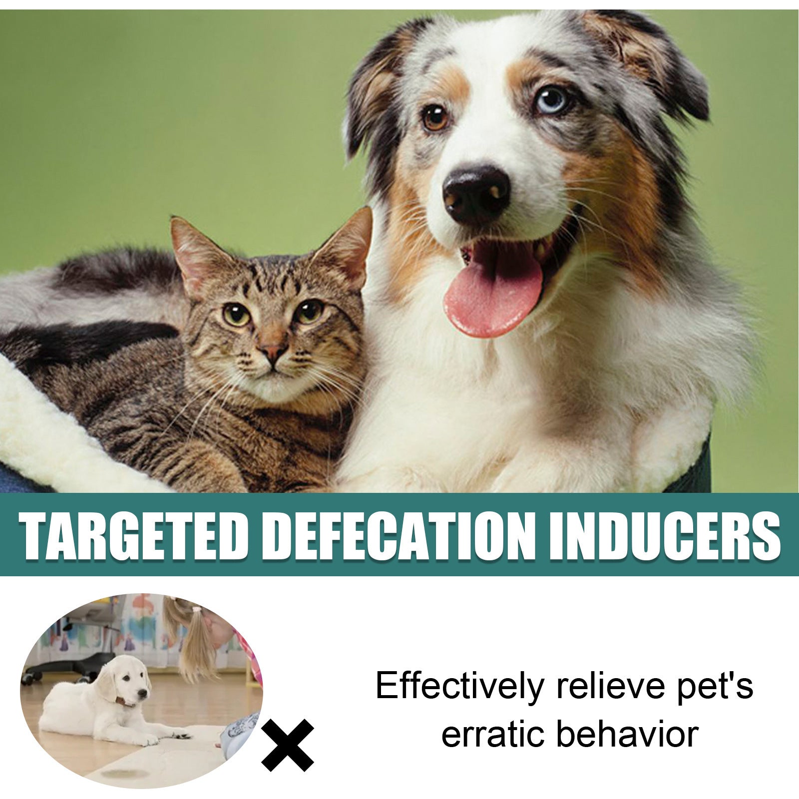 Yegbong Pet Toilet Positioning Inducer – Scented Spray for Gentle Potty Training of Cats & Dogs
